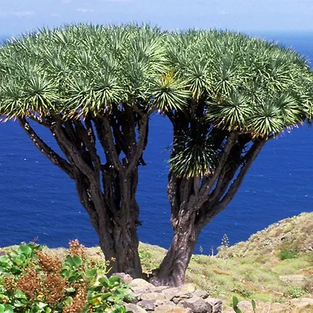 Casa vacanze Casa Ivan Tijarafe