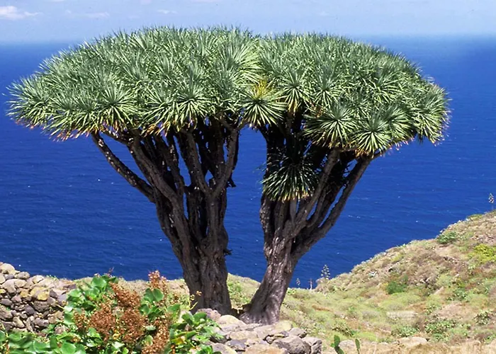 Holiday home Casa Ivan Tijarafe